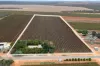 112 Swinstead Road, Barmera, SA 5345-Image