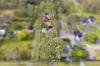 1120 New Cleveland Road, Gumdale, Qld 4154-Image
