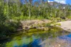 1124 Dungay Creek Road, Wittitrin, NSW 2440-Image