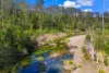 1124 Dungay Creek Road, Wittitrin, NSW 2440-Image