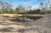 113 Blythewood Road, Fyans Creek, Vic 3381-Image