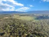 113 Blythewood Road, Fyans Creek, Vic 3381-Image