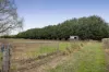 113 Cemetery Road, Lancefield, Vic 3435-Image
