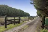 113 Cemetery Road, Lancefield, Vic 3435-Image