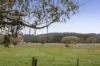 113 Cemetery Road, Lancefield, Vic 3435-Image