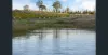 113 Owens Scrub Road, Leyburn, Qld 4365-Image