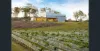 113 Owens Scrub Road, Leyburn, Qld 4365-Image