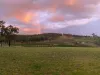 113 Owens Scrub Road, Leyburn, Qld 4365-Image