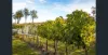 113 Owens Scrub Road, Leyburn, Qld 4365-Image