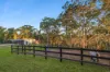 113 Teale Road, East Kurrajong, NSW 2758-Image