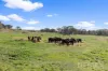 1134 Pulletop Road, Big Springs, NSW 2650-Image