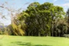 1135 Darkwood Road, Bellingen, NSW 2454-Image