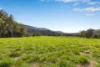 1135 Darkwood Road, Bellingen, NSW 2454-Image