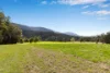1135 Darkwood Road, Bellingen, NSW 2454-Image