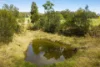 1135 Darkwood Road, Bellingen, NSW 2454-Image