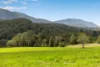 1135 Darkwood Road, Bellingen, NSW 2454-Image