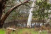 114 Kavanagh Road, Echunga, SA 5153-Image