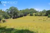 114 Mcintyre Road, Nayook, Vic 3832-Image