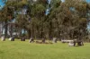 114 McLennan Road, Heathcote, Vic 3523-Image