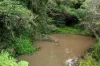 114 Nicklin Road, Palmwoods, Qld 4555-Image