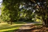 114 Nicklin Road, Palmwoods, Qld 4555-Image