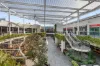 115 Glenhaven Road, Glenhaven, NSW 2156-Image
