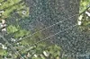115 Pitt Town Road, Kenthurst, NSW 2156-Image