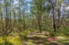 115 Suncrest Close, Bulahdelah, NSW 2423-Image