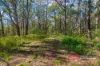 115 Suncrest Close, Bulahdelah, NSW 2423-Image