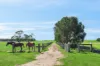 115 Wainewrights Lane, Buckley, Vic 3240-Image