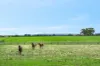 115 Wainewrights Lane, Buckley, Vic 3240-Image