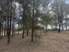 1158 Proston Boondooma Road, Proston, Qld 4613-Image