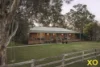 1163 Milbrodale Road, Broke, NSW 2330