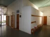 1165 Wagoo Road, St George, Qld 4487-Image