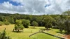 117 McLean Road, Lake Barrine, Qld 4884-Image