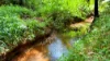 117 McLean Road, Lake Barrine, Qld 4884-Image