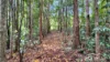 117 McLean Road, Lake Barrine, Qld 4884-Image