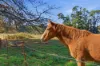 1170 Nowra Road, Fitzroy Falls, NSW 2577-Image