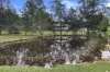 118 Central Road, Tinana, Qld 4650-Image