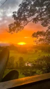 1185 Rodeo Drive, Bowraville, NSW 2449-Image