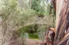 1187 Nanga Road, Dwellingup, WA 6213-Image