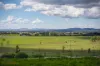 119 Millpost Lane, Bungendore, NSW 2621-Image