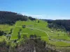 119 Moss Beds Road, Lachlan, Tas 7140-Image