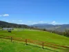 119 Moss Beds Road, Lachlan, Tas 7140-Image