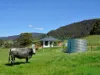 119 Moss Beds Road, Lachlan, Tas 7140-Image