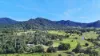 1195 Calen Mount Charlton Road, Mount Charlton, Qld 4741