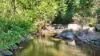 1195 Calen Mount Charlton Road, Mount Charlton, Qld 4741-Image