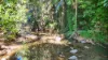 1195 Calen Mount Charlton Road, Mount Charlton, Qld 4741-Image