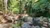 1195 Calen Mount Charlton Road, Mount Charlton, Qld 4741-Image