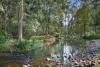 12 Araluen Road, Tallebudgera Valley, Qld 4228-Image